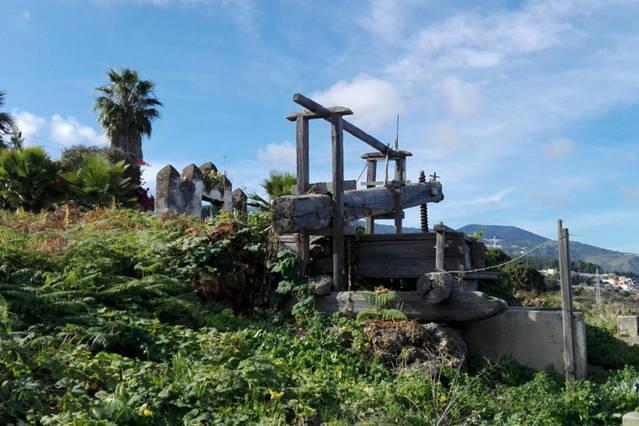Casa Armando Villa Icod De Los Vinos Dış mekan fotoğraf